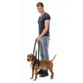 Następne zdjęcie produktu Podpórka do chodzenia M 55-65 cm czarna