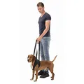 Następne zdjęcie produktu Podpórka do chodzenia M 55-65 cm czarna