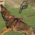 Następne zdjęcie produktu Uprząż Becky XS: szyja 40 cm