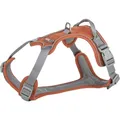 Postroj PREMIUM ACTIVE, rezavá S: 35-50 cm/ 15 mm