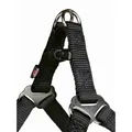 Następne zdjęcie produktu Szelki PREMIUM - fuksja XS-S: obwód klatki piersiowej: 30-40cm/10mm