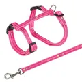 Następne zdjęcie produktu Szelki dla kota ze smyczą XL GOOD LUCK 34-57cm/13mm