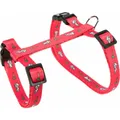 Szelki ze smyczą dla królika - motyw 25-44/1cm 1,25m
