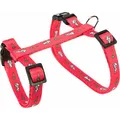 Szelki ze smyczą dla królika - motyw 25-44/1cm 1,25m