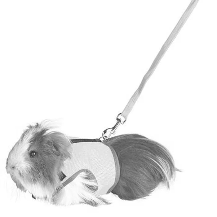 Główne zdjęcie produktu Postroj VESTA s vodítkem pro morče 18-25cm/1,2m