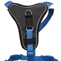 Następne zdjęcie produktu Szelki Y PREMIUM - błękit królewski - WYPRZEDAŻ XS-S: obwód klatki piersiowej: 37-45cm/15mm