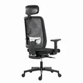 Ergonomiczne krzesło biurowe Powerton Lucie, czarne