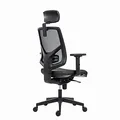 Krzesło ergonomiczne Powerton Office Tina, Szary