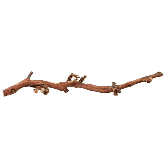 Główne zdjęcie produktu Přírodní dekorace do terária, větev z vinné révy L 40-60cm