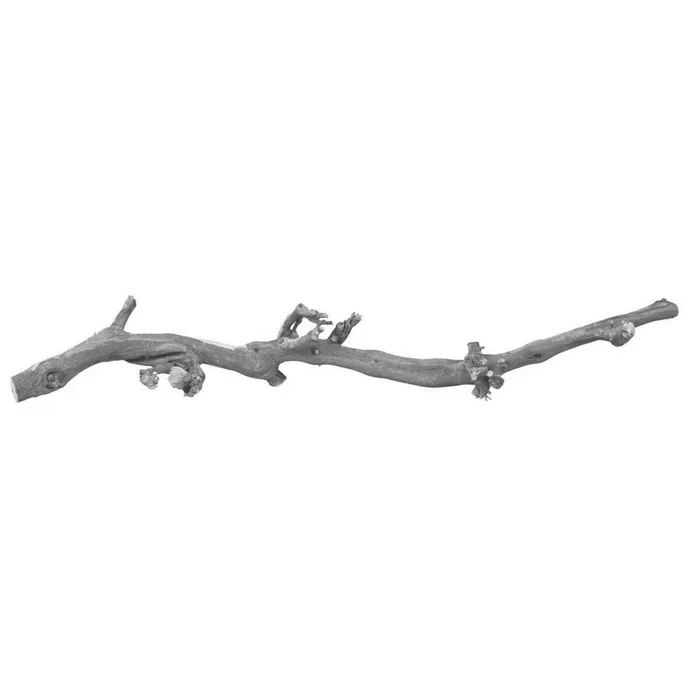 Główne zdjęcie produktu Přírodní dekorace do terária, větev z vinné révy L 40-60cm