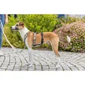 Następne zdjęcie produktu Protipanický adaptér STAY na postroj, černáM-L: 46-72 cm/ 20 mm