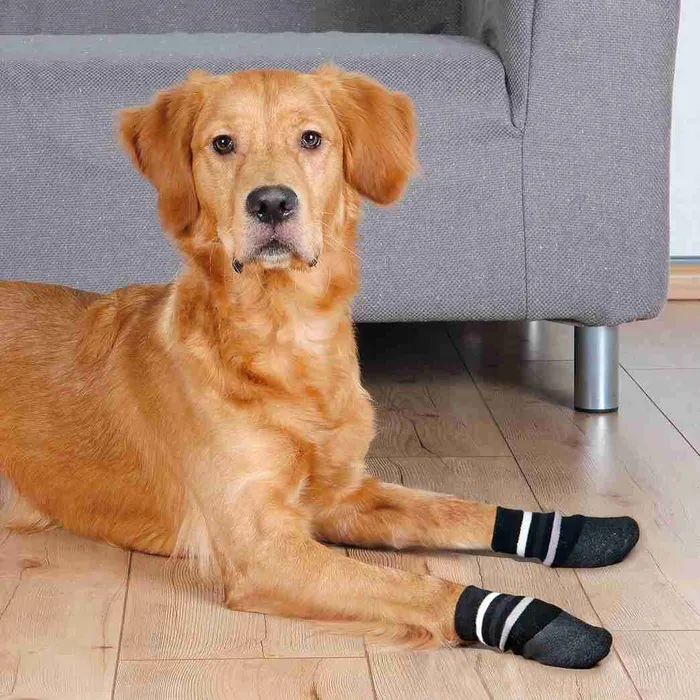 Główne zdjęcie produktu Protiskluzové ponožky černé, 2 ks pro psy bavlna/lycra S-M: např. sheltie