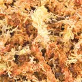 Następne zdjęcie produktu Mech torfowy, podłoże do terrarium tropikalnego 100 g