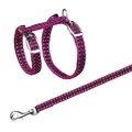 Następne zdjęcie produktu Szelki odblaskowe ze smyczą dla kota 22-42cm/10mm 1,2m