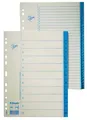 Indeksy, białe, 1-12, A4, karton, ESSELTE
