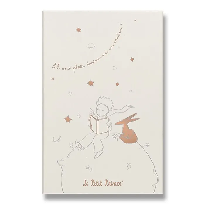 Główne zdjęcie produktu Sada Moleskine Le Petit Prince L, zápisník a diář, sběratelská edice