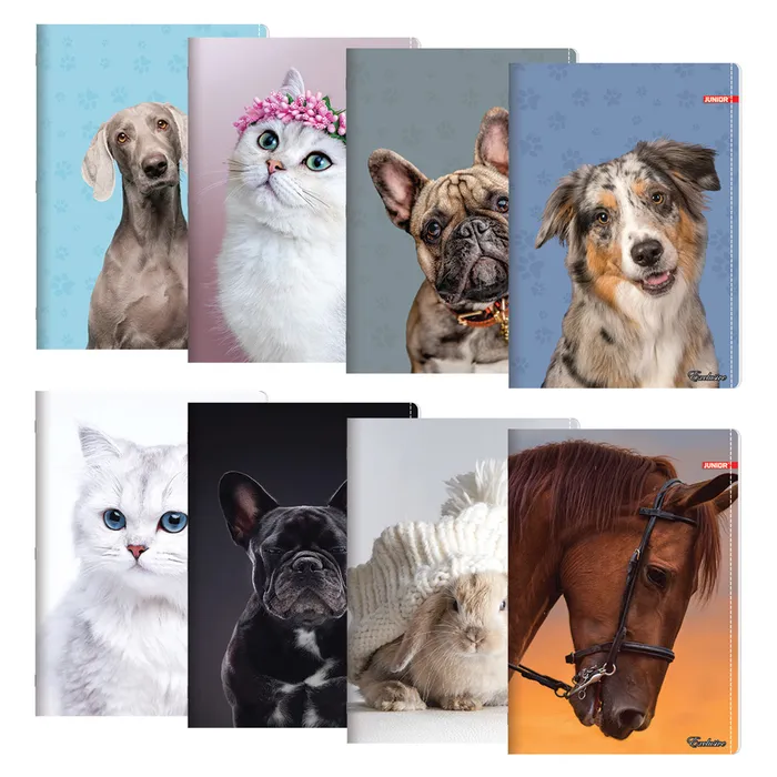 Główne zdjęcie produktu Sešit A4, linkovaný 444, 40 listový, Exclusive "Cute Animals"