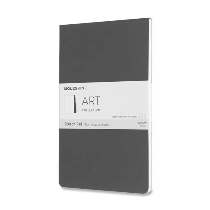 Główne zdjęcie produktu Skicář Moleskine SketchPad L, černý