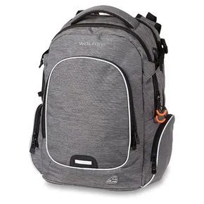 Plecak szkolny Walker Campus Evo Wizzard Stone Melange