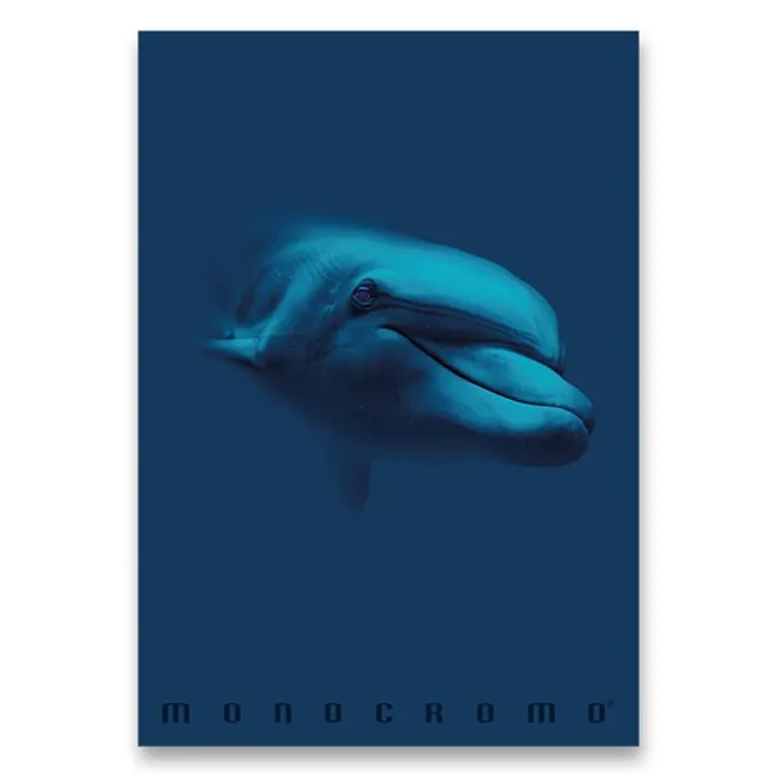 Główne zdjęcie produktu Školní sešit Monocromo Blue A4, linkovaný, 40 listů, mix motivů