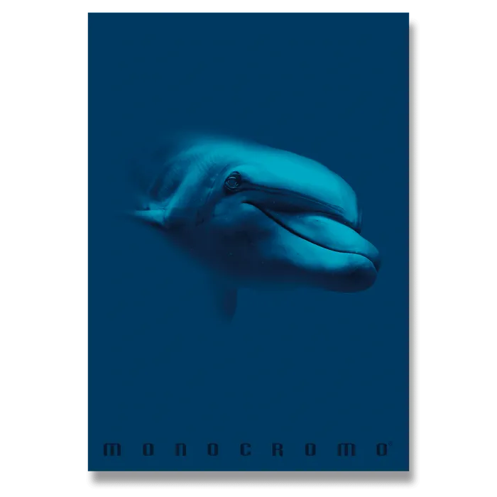 Główne zdjęcie produktu Školní sešit Monocromo Blue A5, linkovaný, 42 listů, mix motivů