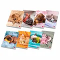 Zeszyt szkolny Pigna Dolci Cuccioli A4, w linie, 40 kartek, mix motywów