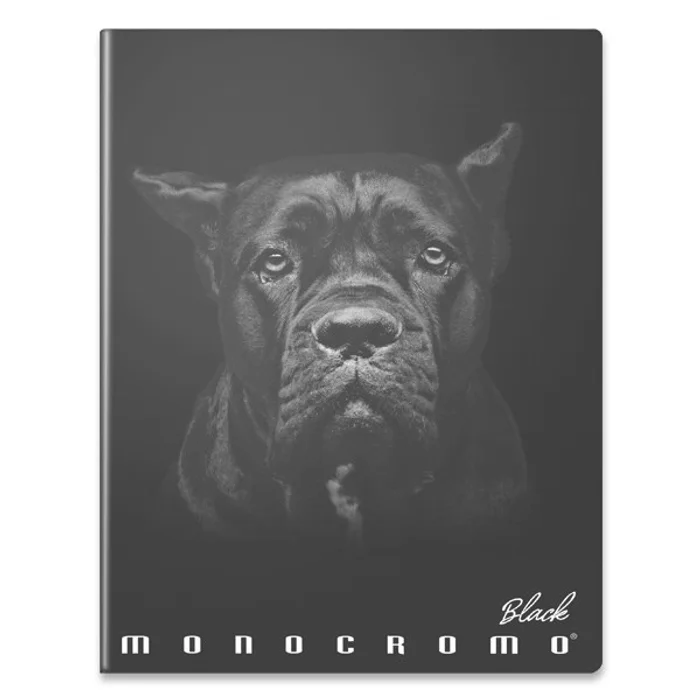 Główne zdjęcie produktu Školní sešit Pigna Monocromo Black A4, čistý, 40 listů, mix motivů