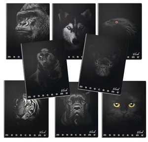 Notatnik szkolny Pigna Monocromo Black A4, w linie, 40 kartek, mix motywów