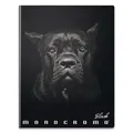 Notatnik szkolny Pigna Monocromo Black A4, w linie, 40 kartek, mix motywów