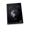 Notatnik szkolny Pigna Monocromo Black A5, w linie, mix motywów
