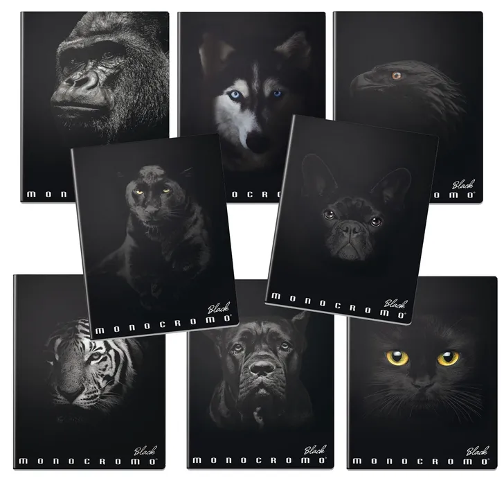 Główne zdjęcie produktu Školní sešit Pigna Monocromo Black A4, linkovaný, 40 listů, mix motivů