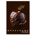 Zeszyt szkolny Pigna Monocromo Chocolate - A4, w linie, 38 kartek, mix motywów