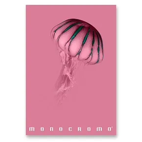 Zeszyt szkolny Pigna Monocromo Pink - A4, w linie, 38 kartek, mix motywów