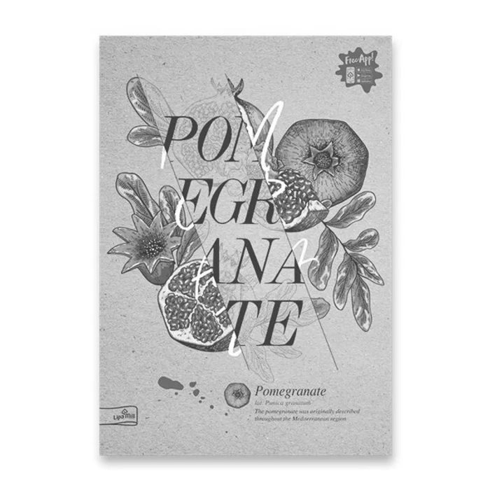 Główne zdjęcie produktu Školní sešit Premium Nature A4, čtverečkovaný, 40 listů, mix motivů