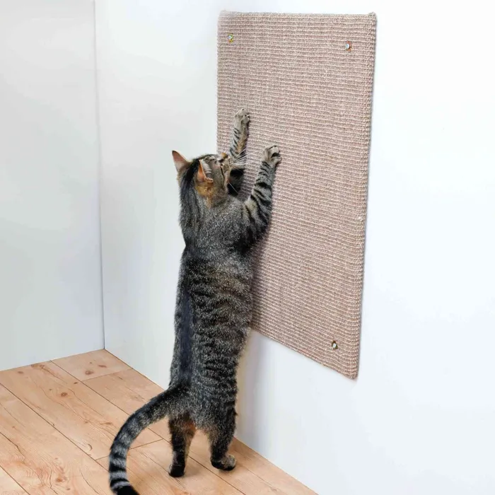 Główne zdjęcie produktu Škrábací deska XL 50 x 70 cm hnědá