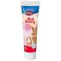Następne zdjęcie produktu Pasta słodowa dla gryzoni Red Berry - z owocami leśnymi, 100g