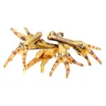 Następne zdjęcie produktu Pazur z kurczaka wędzonego - 50 szt./op