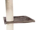zniżka