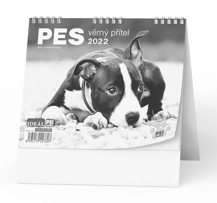 Główne zdjęcie produktu Stolní kalendář - IDEÁL - Pes - věrný přítel /s psími jmény/