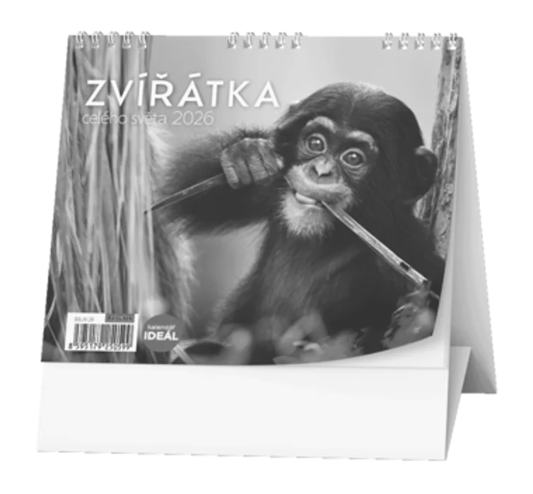 Główne zdjęcie produktu Stolní kalendář - IDEÁL - Zvířátka celého světa