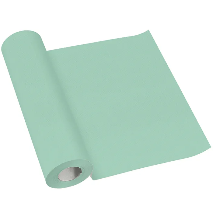 Główne zdjęcie produktu Středový pás PAW AIRLAID 40 cm x 24 m light mint
