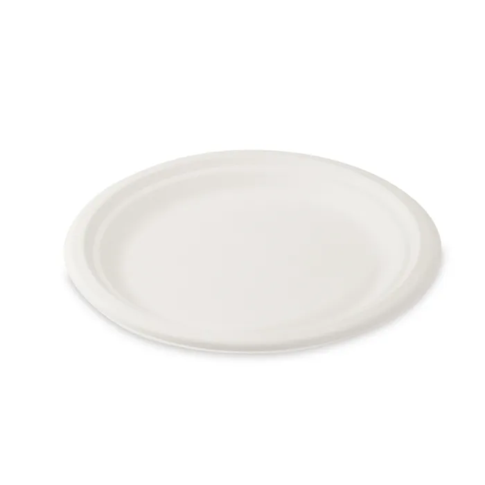 Główne zdjęcie produktu Talíř kulatý BIO cukrová třtina průměr 22 cm [10 ks]