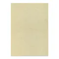 Następne zdjęcie produktu Papier fakturowany, havana, A4, 200g, APLI [10 ark.]