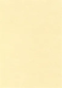 Papier fakturowany, efekt pergaminu, szampan, A4, 95g, APLI [100 ark.]