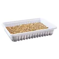 Następne zdjęcie produktu Trawa dla gryzoni w misce 100 g TRIXIE