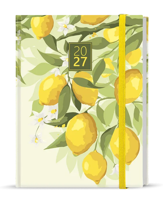 Główne zdjęcie produktu Týdenní diář - Prokop - Lamino - B6 - Citron