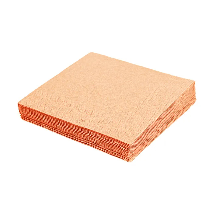 Główne zdjęcie produktu Ubrousky 2-vrstvé, 24 x 24 cm apricot [250 ks]