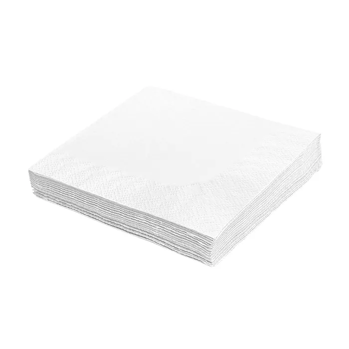 Główne zdjęcie produktu Ubrousky 2-vrstvé, 24 x 24 cm bílé [250 ks]