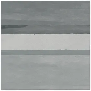 Serwetki PAW AIRLAID 40x40 cm Fluid grey [50 szt]