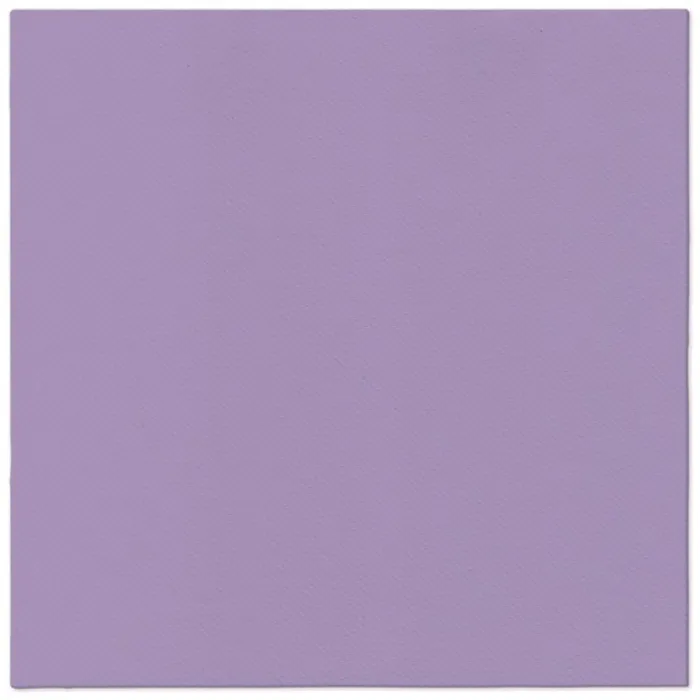 Główne zdjęcie produktu Ubrousky PAW AIRLAID 40x40 cm Monocolor Violet [50 ks]